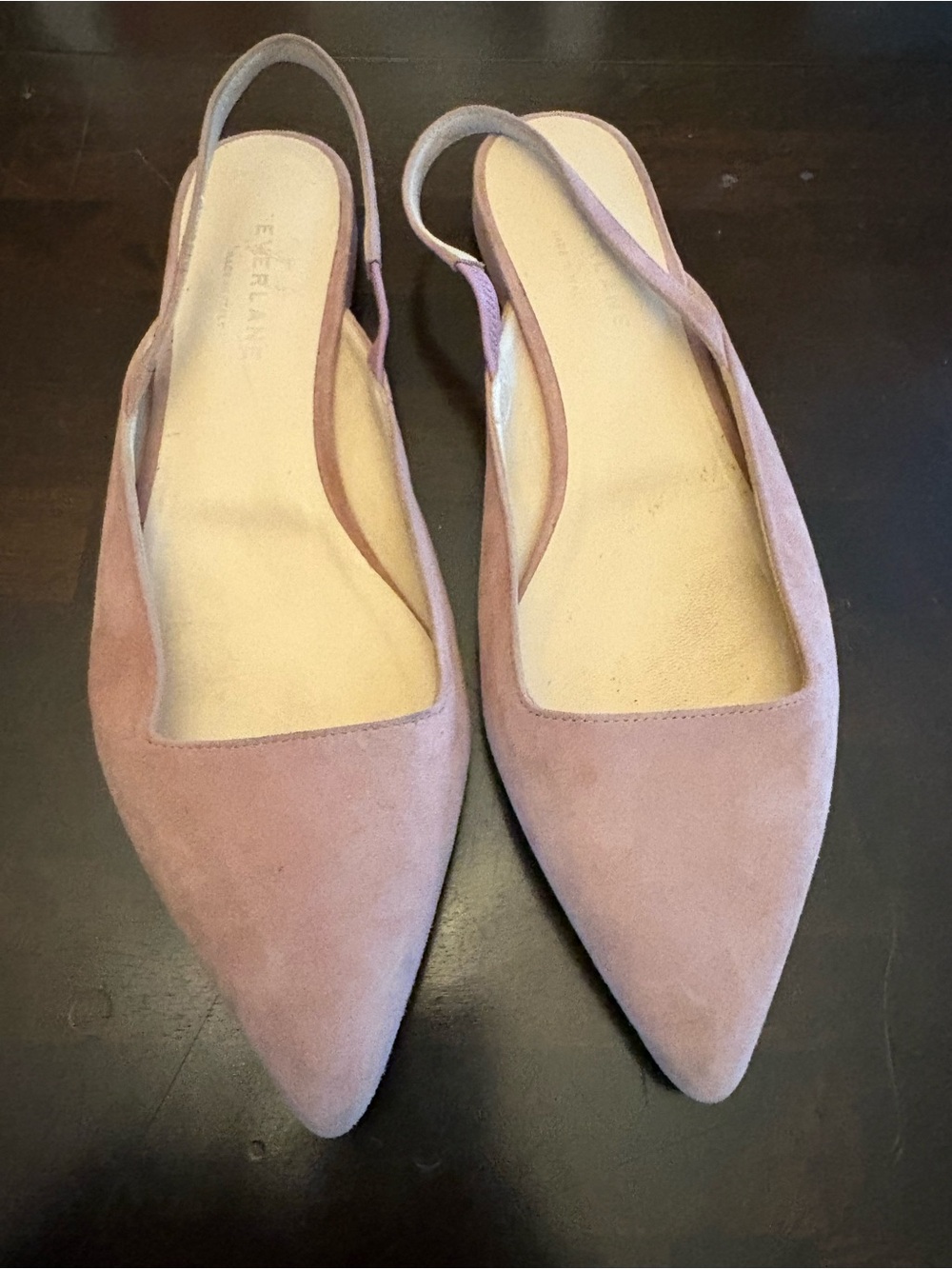 Everlane Blush Suede Pointed Slingback Flats